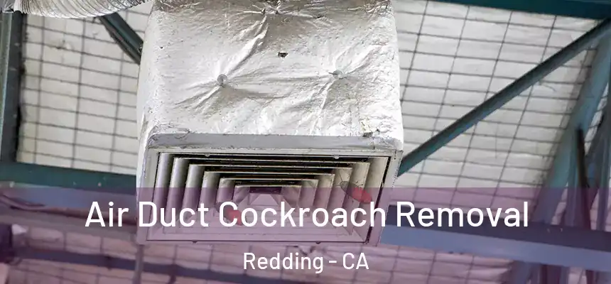 Air Duct Cockroach Removal Redding - CA