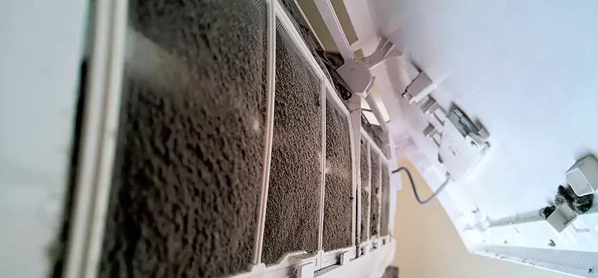 Preventive Air Duct Bacteria Removal in Redding