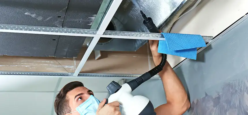 Our Air Duct Rodent Removal Services in Redding, CA