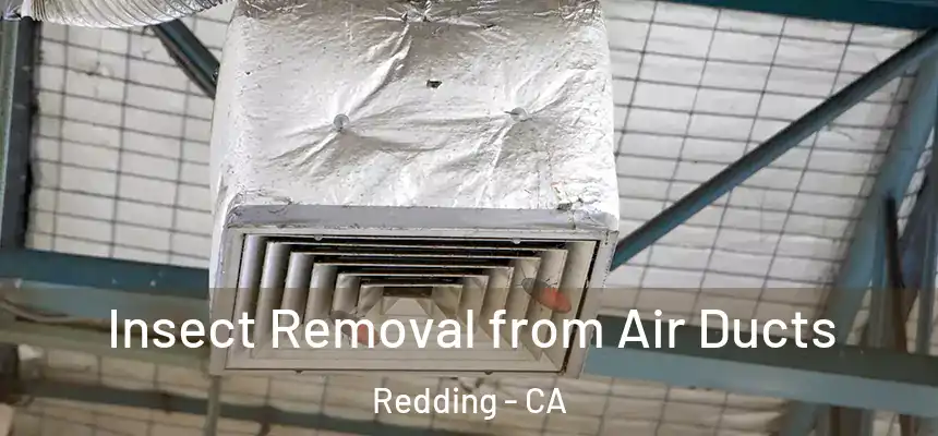 Insect Removal from Air Ducts Redding - CA