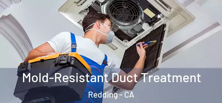 Mold-Resistant Duct Treatment Redding - CA