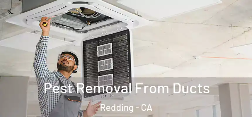 Pest Removal From Ducts Redding - CA