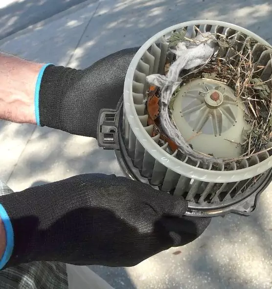 About Air Duct Rat Removal in Redding, CA