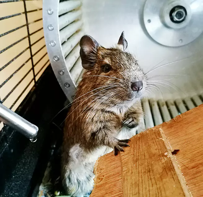 Why Homeowners & Businesses Trust Us Redding, CA?