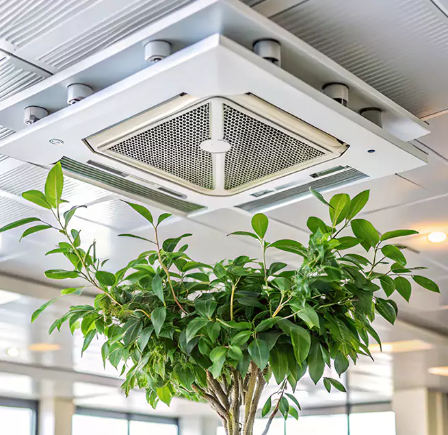 Why Homeowners & Businesses Trust Us in Redding, CA?